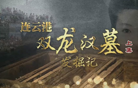 探索发现《连云港双龙汉墓发掘记》全2集纪录片国语中字1080P