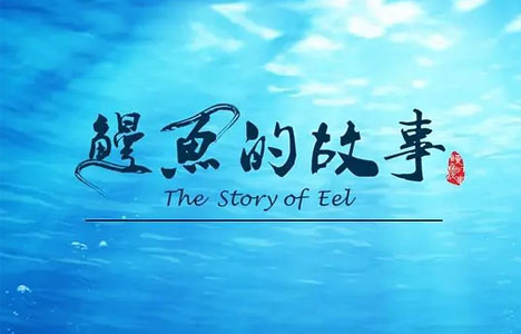 纪录片《鳗鱼的故事》全3集国语中字1080P