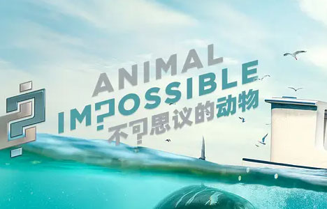 纪录片《不可思议的动物》全10集国语中字1080P