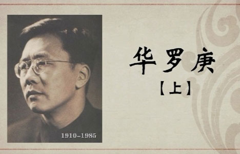 纪录大时代《百年巨匠·华罗庚》全2集纪录片国语中字720P